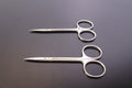 x2) Aesculap BH111R Halsted Mosquito Forceps0