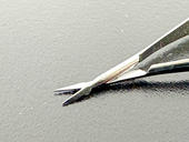 Storz E 3936 Spring Handle Micro Scissors Straight Fine Tip Germany1