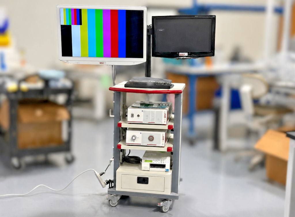 Richard Wolf Endoscopy Tower System Endocam Performance HD + Endolight LED1