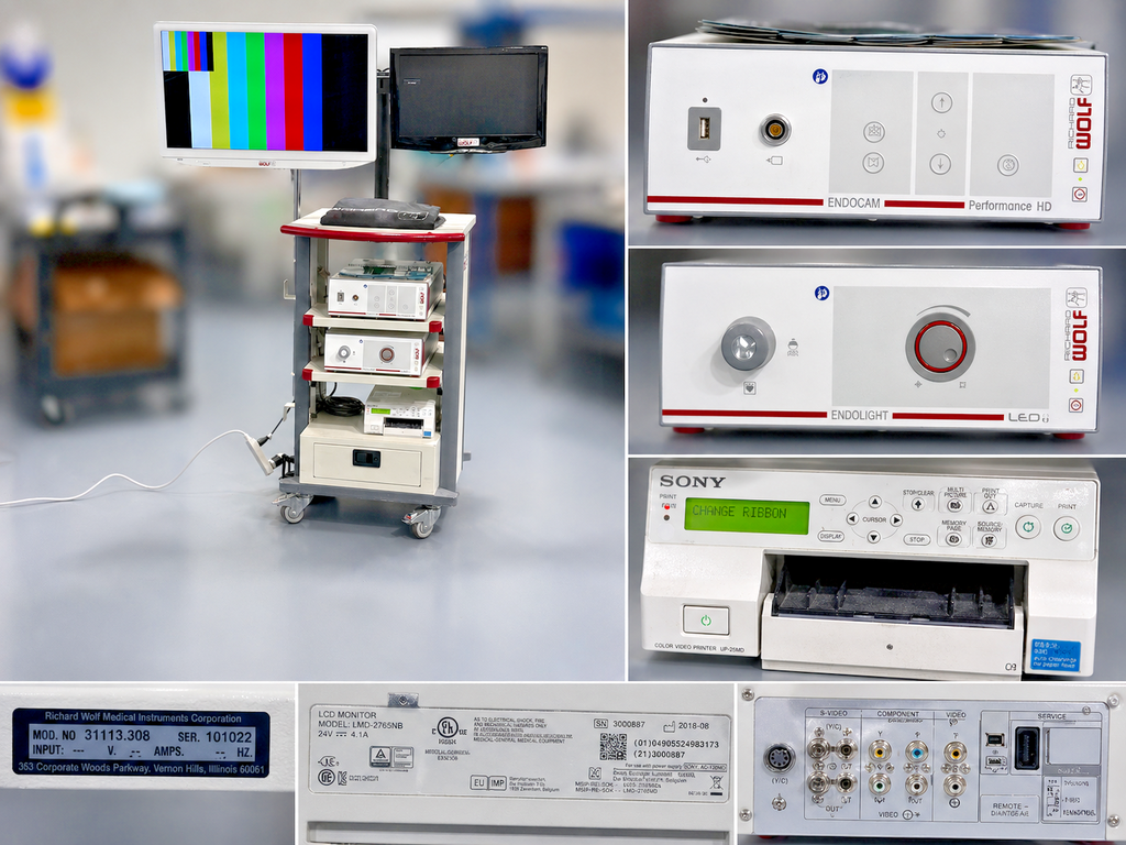 Richard Wolf Endoscopy Tower System Endocam Performance HD + Endolight LED0