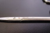 x2) Aesculap BH111R Halsted Mosquito Forceps2