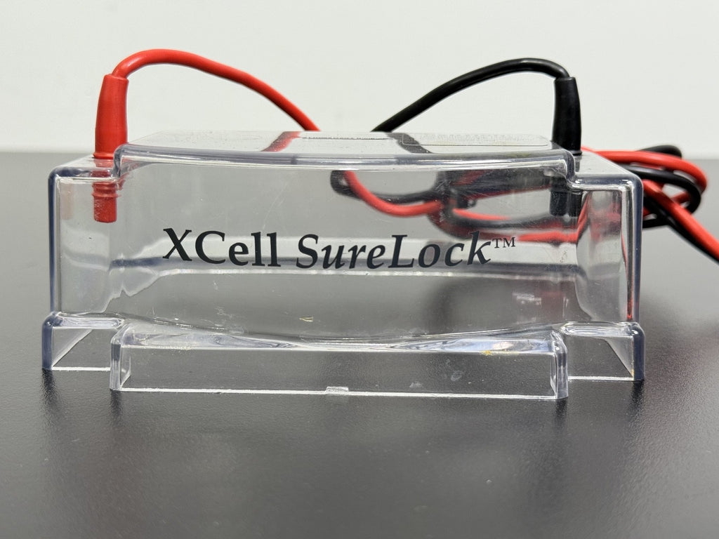 Invitrogen Xcell SureLock Electrophoresis Mini Cell Lid Only3
