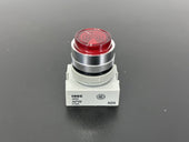 IDEC APW N29 Red 22mm Pilot Indicator Light Lamp Assembly1